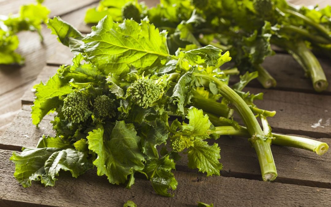 Health Benefits of Broccoli Rabe