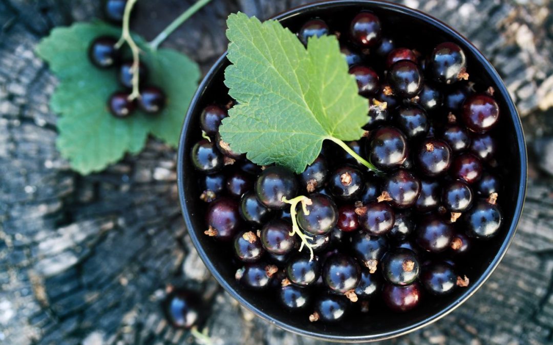 Currant: Health Benefits, Nutritional Facts, and Side Effects