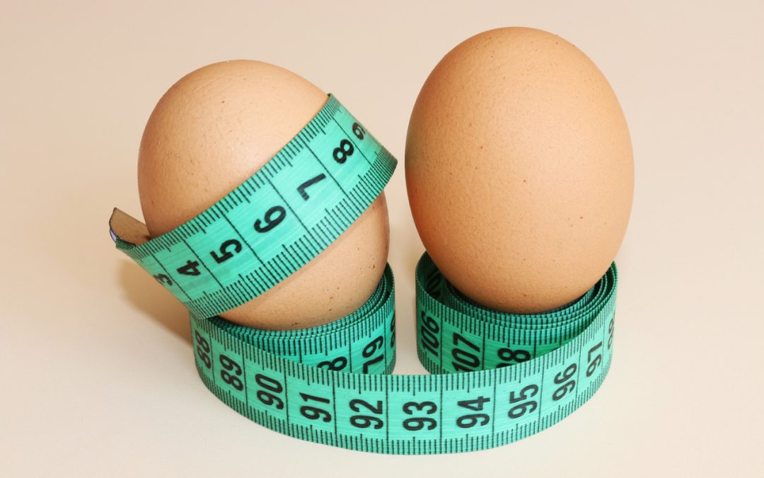 Is Eggs Good for Weight Loss? Find Out.