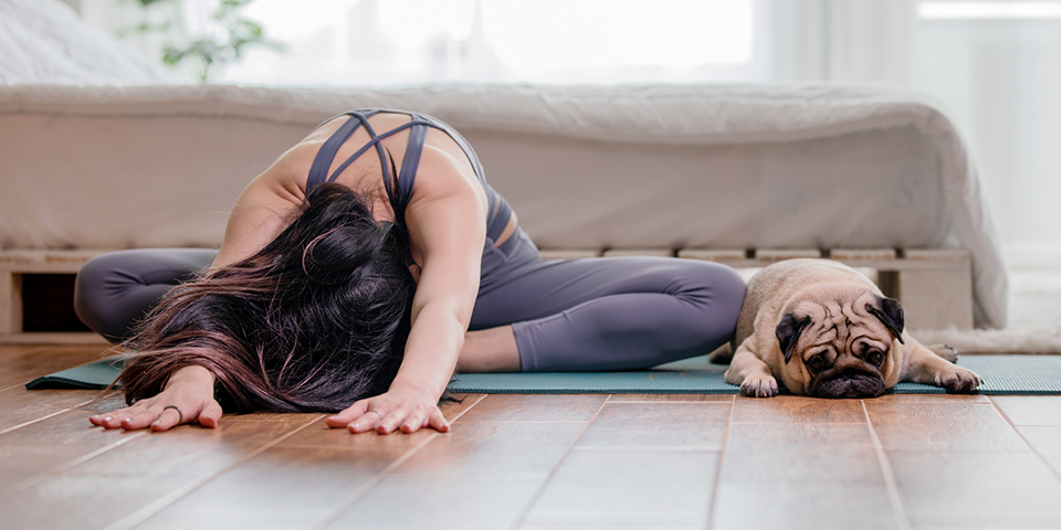 18 Working Out from Home Memes That Will Make You Laugh