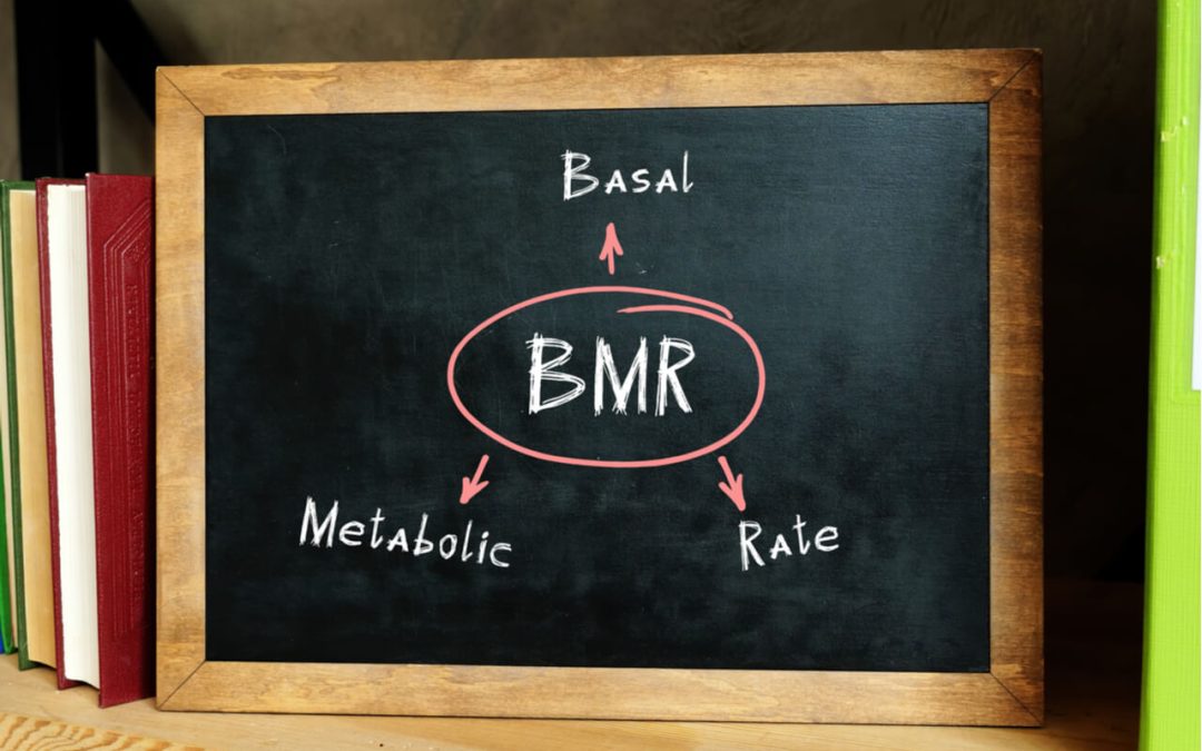 BMR Calculator – Calculate Your Basal Metabolic Rate