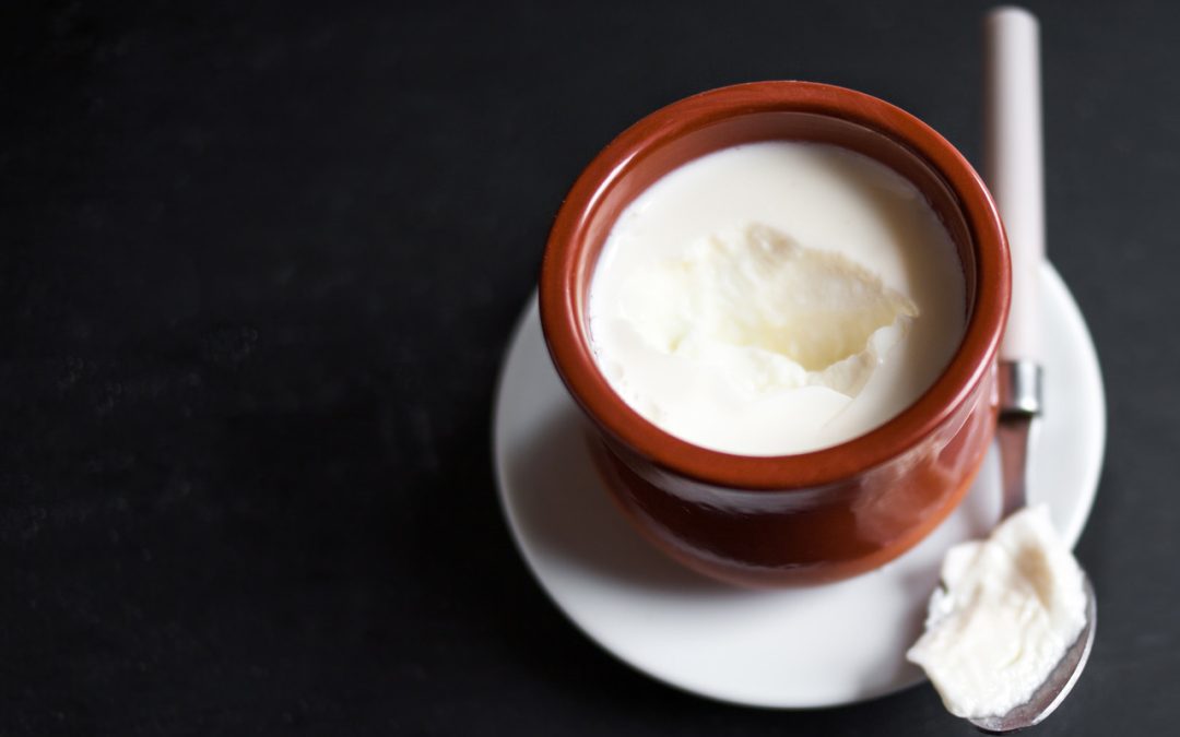 Is Curd Good for Weight Loss? Let's Find out