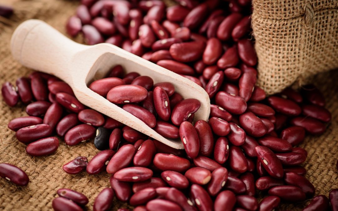 Is Rajma Good For Weight Loss?: HealthifyMe