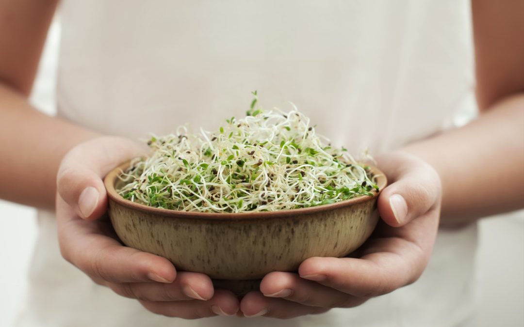 are-sprouts-useful-for-weight-loss?-healthifyme