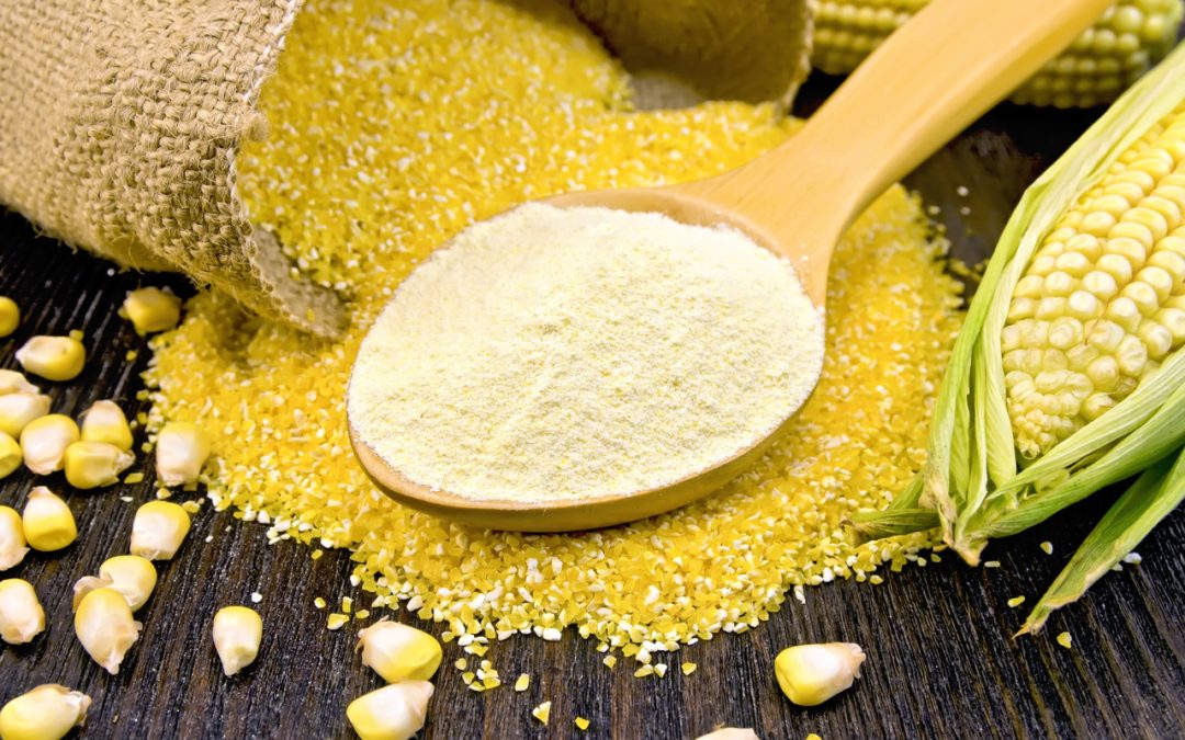 corn-flour:-benefits,-precautions-and-more-:-healthifyme