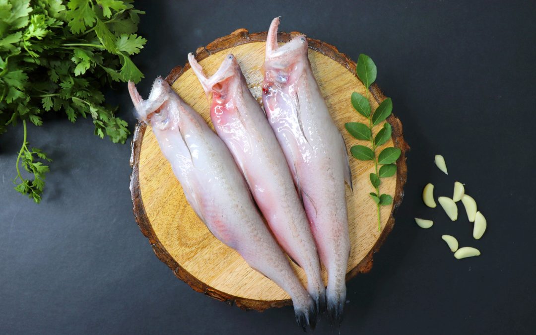 Bombay Duck: A Fish Devoted To Your Good Health: HealthifyMe