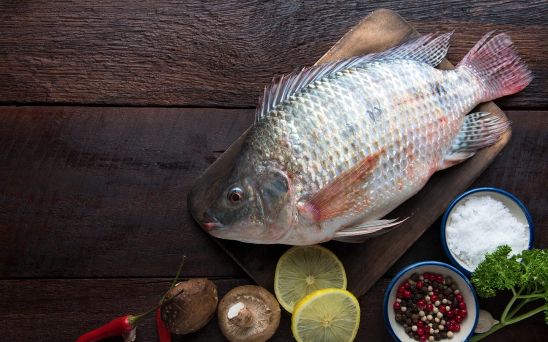 Tilapia- Nutritional Benefits, Health Benefits-HealthifyMe