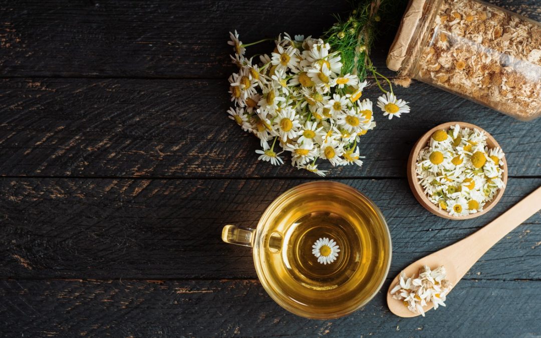 Chamomile Tea: A Cup Filled With Goodness: HealthifyMe