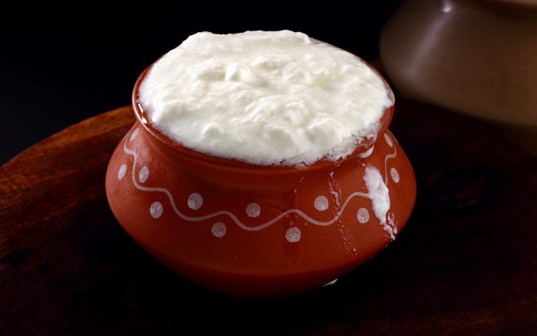 Yoghurt Vs Curd: Are They Different Or Same?: HealthifyMe