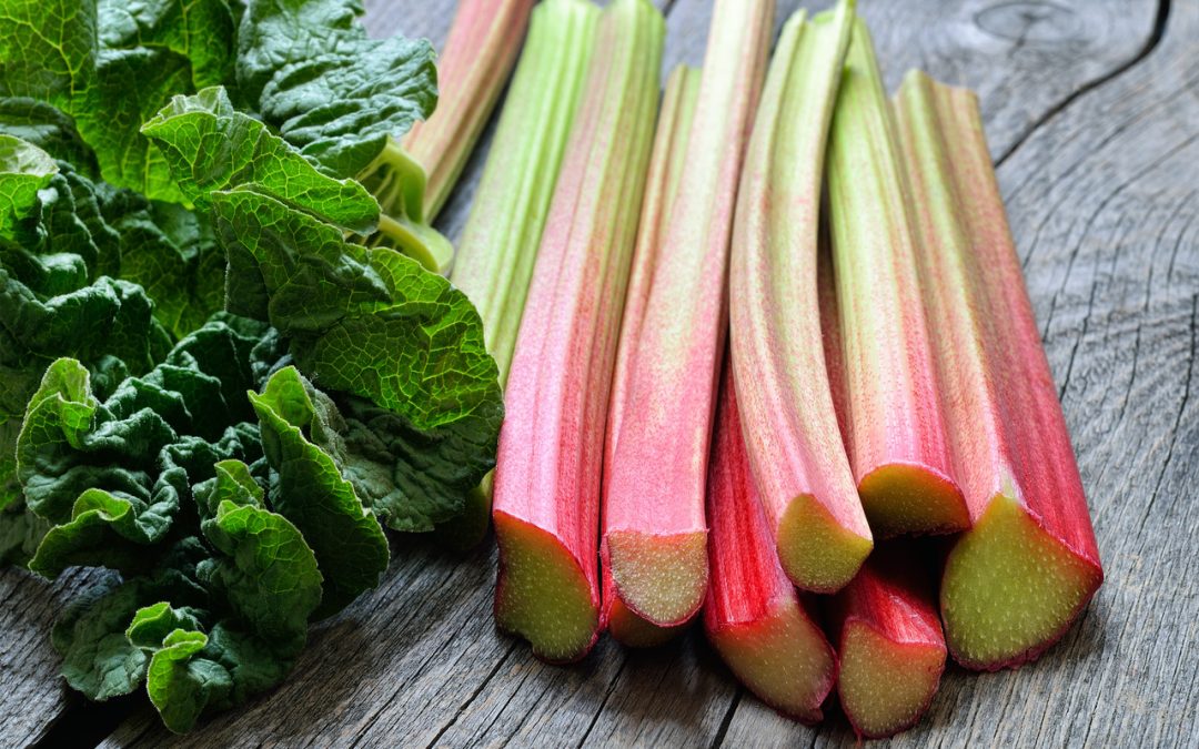 Rhubarb- A Versatile And Delicious Plant- HealthifyMe