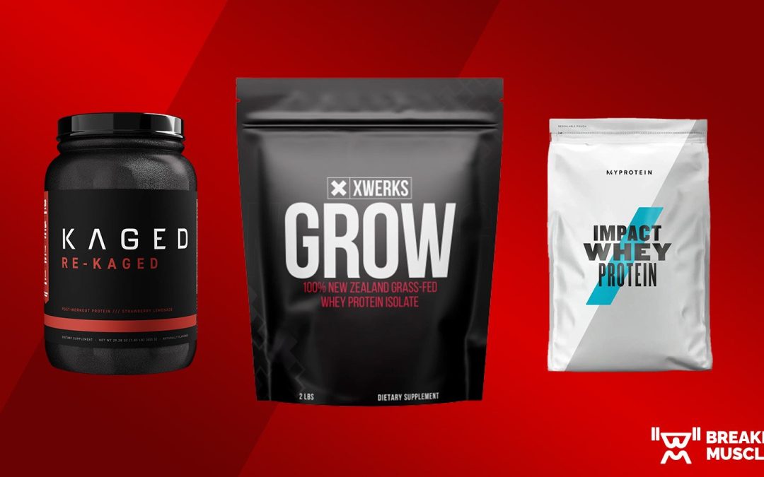 The 10 Best Protein Powders for Muscle Gain (2023) | Breaking Muscle