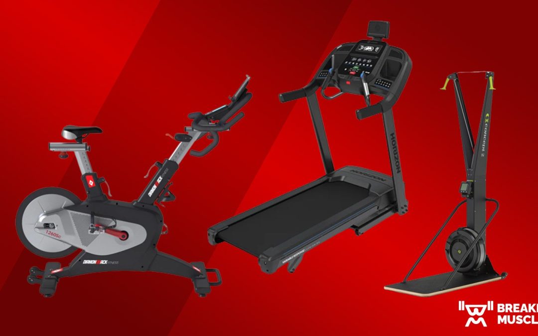 The 10 Best Cardio Machines of 2023 (Tested by Fitness Experts) | Breaking Muscle