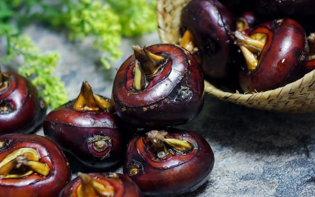 the-untold-benefits-of-water-chestnuts:-healthifyme