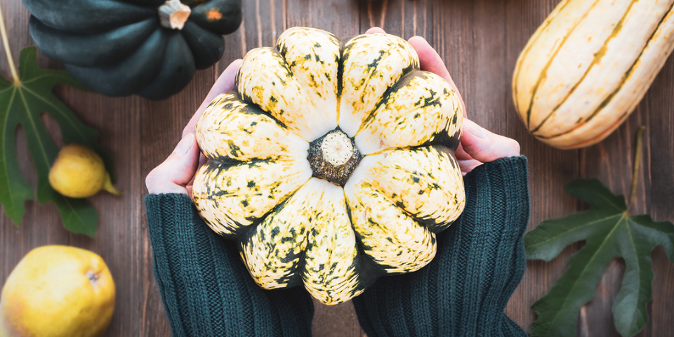 Fall in Love With Autumnal Flavors by Learning How to Cook Acorn Squash