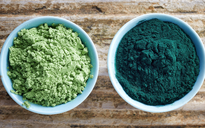 Chlorella vs Spirulina: Which Microalgae Is Better for You?