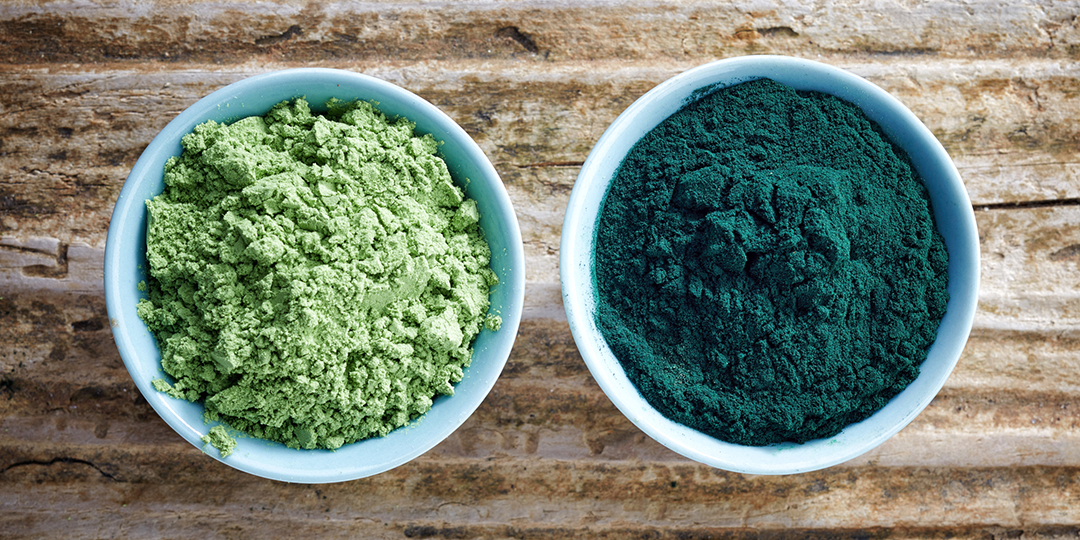 Chlorella vs Spirulina: Which Microalgae Is Better for You?